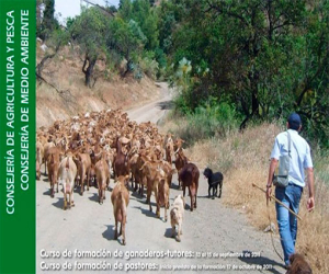 Comienzan las clases teóricas de la séptima edición de la Escuela de Pastores de la Junta, centrada en la trashumancia