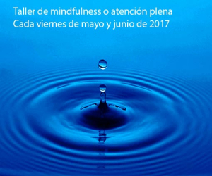 Taller de mindfulness o atención plena