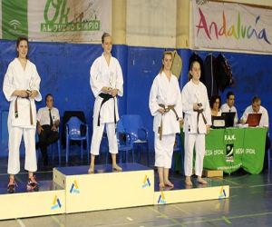 II Copa de Andalucía de Estilos y Disciplinas Asociadas de Artes Marciales