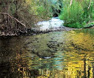 Conversaciones con el Marchán II