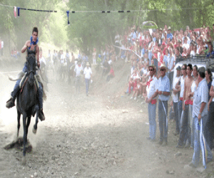 Publicadas las bases de la Romería del Vino 2006