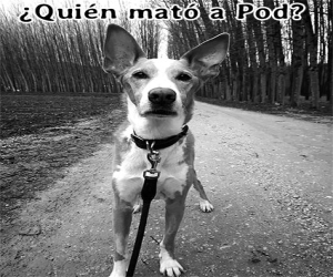 ¿Quién mató a Pod?
