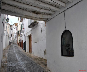 Hornacina: El Señor del Cobertizo (VII)