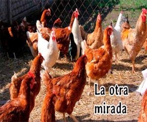 El problema no es Rajoy