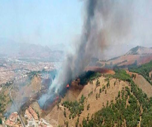 La Junta insta a los ayuntamientos a que elaboren y ejecuten sus Planes Locales de Emergencia por Incendios Forestales