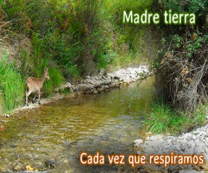 Cada Vez que respiramos