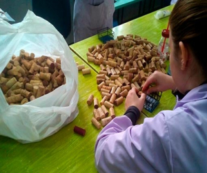 La Asociación Ambiental el Quejigo recibe una subvención de 3.000 euros de la Junta de Andalucía