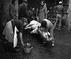 Historias de Bonilla “El Pecas”: La matanza