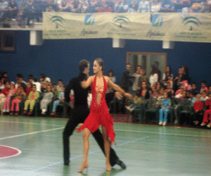 Baile, música, baloncesto y voleibol a cargo del Universidad de Granada