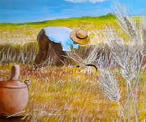 Historias de Bonilla “El Pecas”: Fin de curso, las tareas del verano (I)