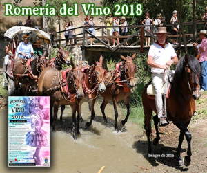 Romería del Vino 2018