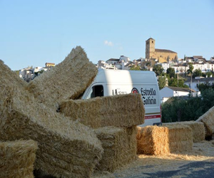 Incidente de tráfico en la entrada de Alhama por carretera de Granada