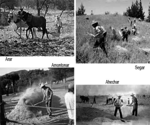 Historias de Bonilla “El Pecas”. II Parte