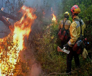 Acredita extinción de incendios forestales