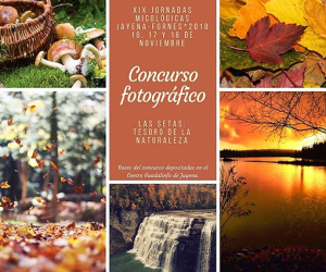 Las XIX Jornadas Micológicas de Jayena y Fornes se presentan con buenas expectativas de abundancia de setas