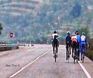 ¿Guardamos todos las normas?