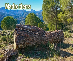 El primer aniversario