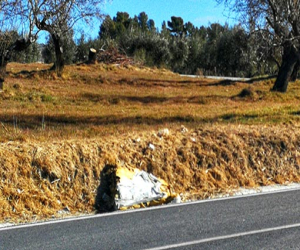 Para que duerman las ardillas