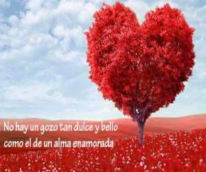 Día del amor 2019