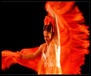 El flamenco de enhorabuena
