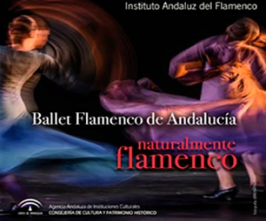 Convocatoria urgente de selección de artistas, bailarines, guitarristas y percusionistas para la Gala de Ballet Flamenco de Andalucía