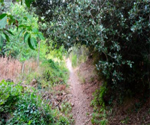 Otoño en el alma (V): Ven a verme