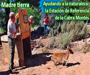 Ayudando a la naturaleza: la Estación de Referencia de la Cabra Montés