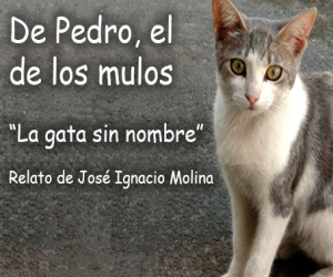 De Pedro el de los mulos
