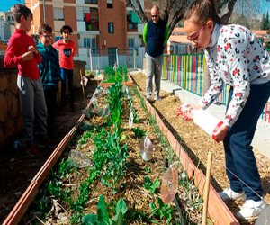 Crecimiento y cuidados de la ecoescuela del CEIP Cervantes