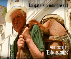 Pedro, el de los mulos (2)