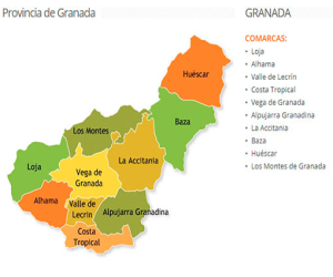 La Junta destina más de 2,1 millones en ayudas a municipios de hasta 5.000 habitantes de Granada para luchar contra el Covid-19