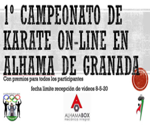 #YoKarateEnCasa (10)