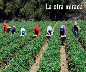 La supuesta superioridad moral de la izquierda