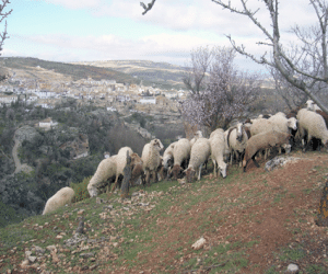 La mejora de los caminos rurales: un compromiso con el Campo