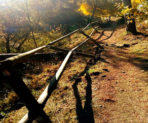 El vandalismo que no cesa