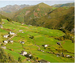 Soñaba