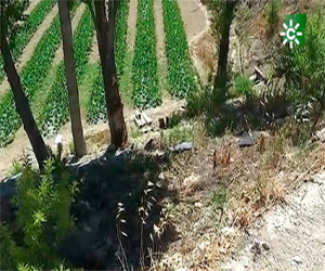 Consternación en las poblaciones de origen de los tres jóvenes fallecidos en el accidente en Arenas del Rey