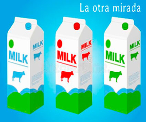 Economistas sin título