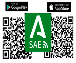 AppSAE: los servicios de empleo en tu mano