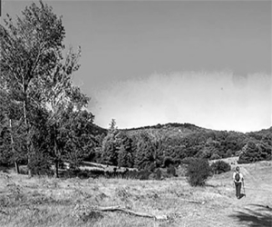 ¿Qué fue de aquellas veredas?