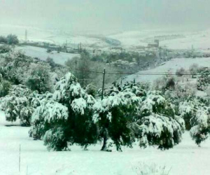 “Volviendo al mañana”