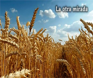 Sembrar semillas de utopía