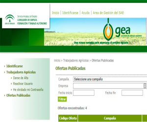 Se necesitan manipuladores/as para la campaña del espárrago