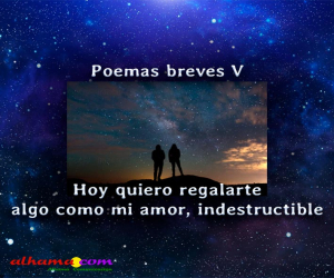 Poemas breves V