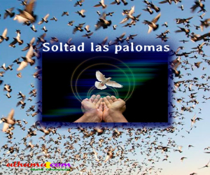 Soltad las palomas