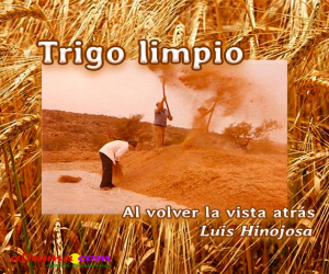 Trigo limpio
