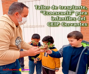 Taller de trasplante, “Ecoescuela” en educación Infantil del CEIP Cervantes