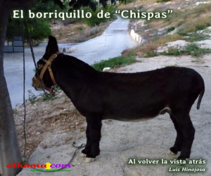 El borriquillo de “Chispas”
