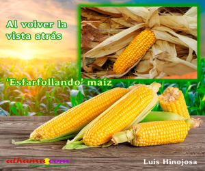 ‘Esfarfollando’ maíz