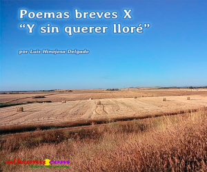 Poemas breves X: “Y sin querer lloré”